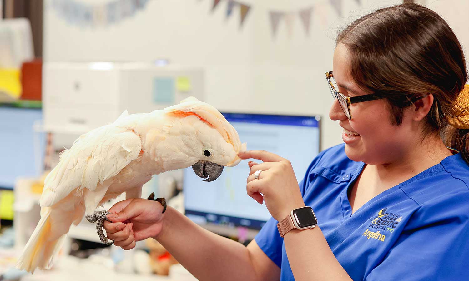 A cockatoo and our veterinary professional