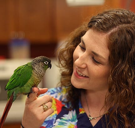 Bird Veterinarians in Grapevine: Veterinarian Holds Bird